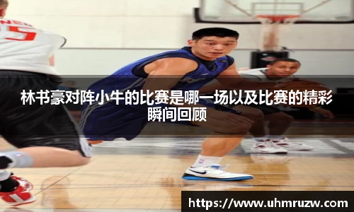林书豪对阵小牛的比赛是哪一场以及比赛的精彩瞬间回顾